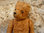 Austrian teddy bear of the 30s