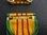 Medalla pel servei a la Guerra del Vietnam (USA)