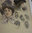Litografia amb models de barrets de senyora finals s. XIX
