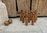 Set of 9 wooden skittles